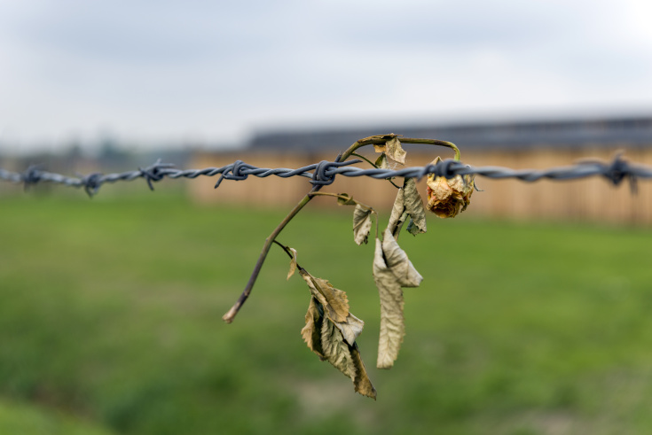 tour of concentration camp