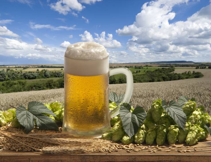 Beer tasting in Plzen brewery